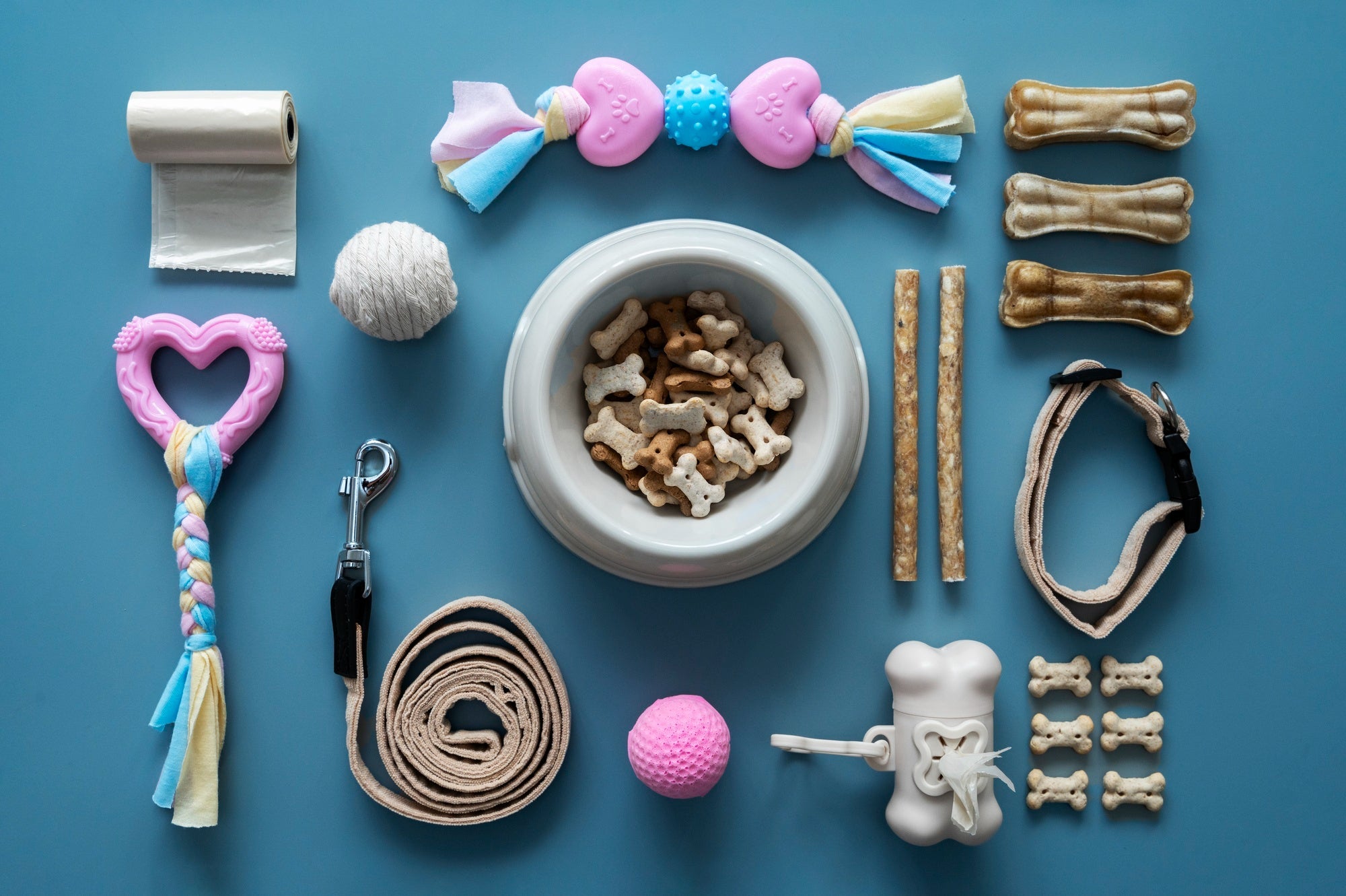 Pet Care Essentials
